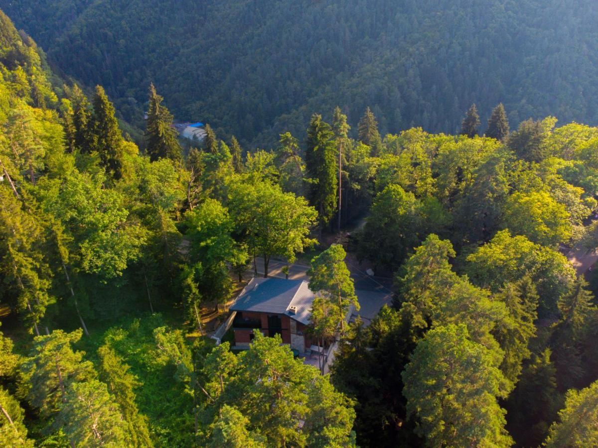 Hotel Evergreen Borjomi Exterior photo